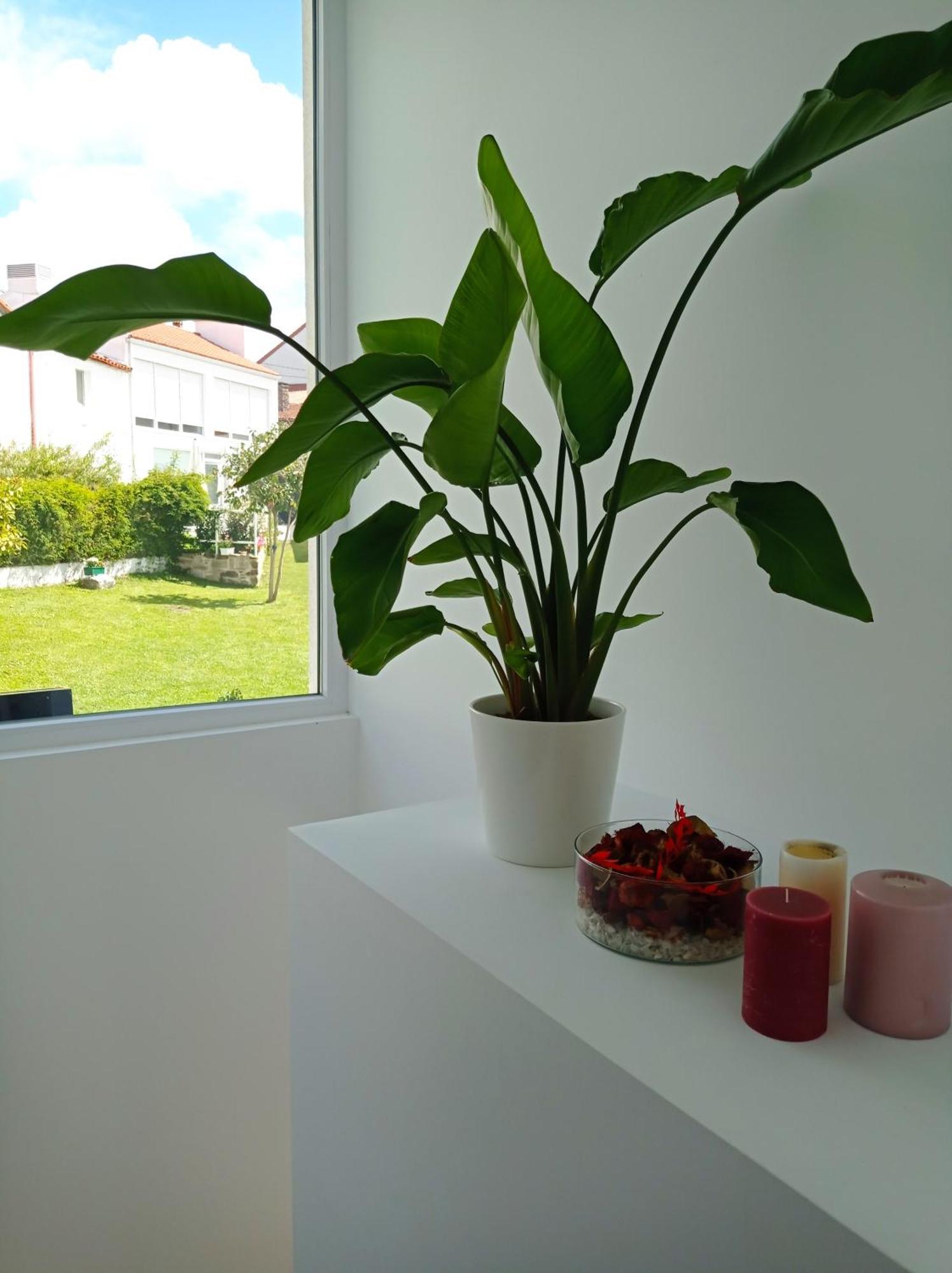 Casas Turisticas Lar Jardin - Parking Privado Сантяго де Компостела Екстериор снимка