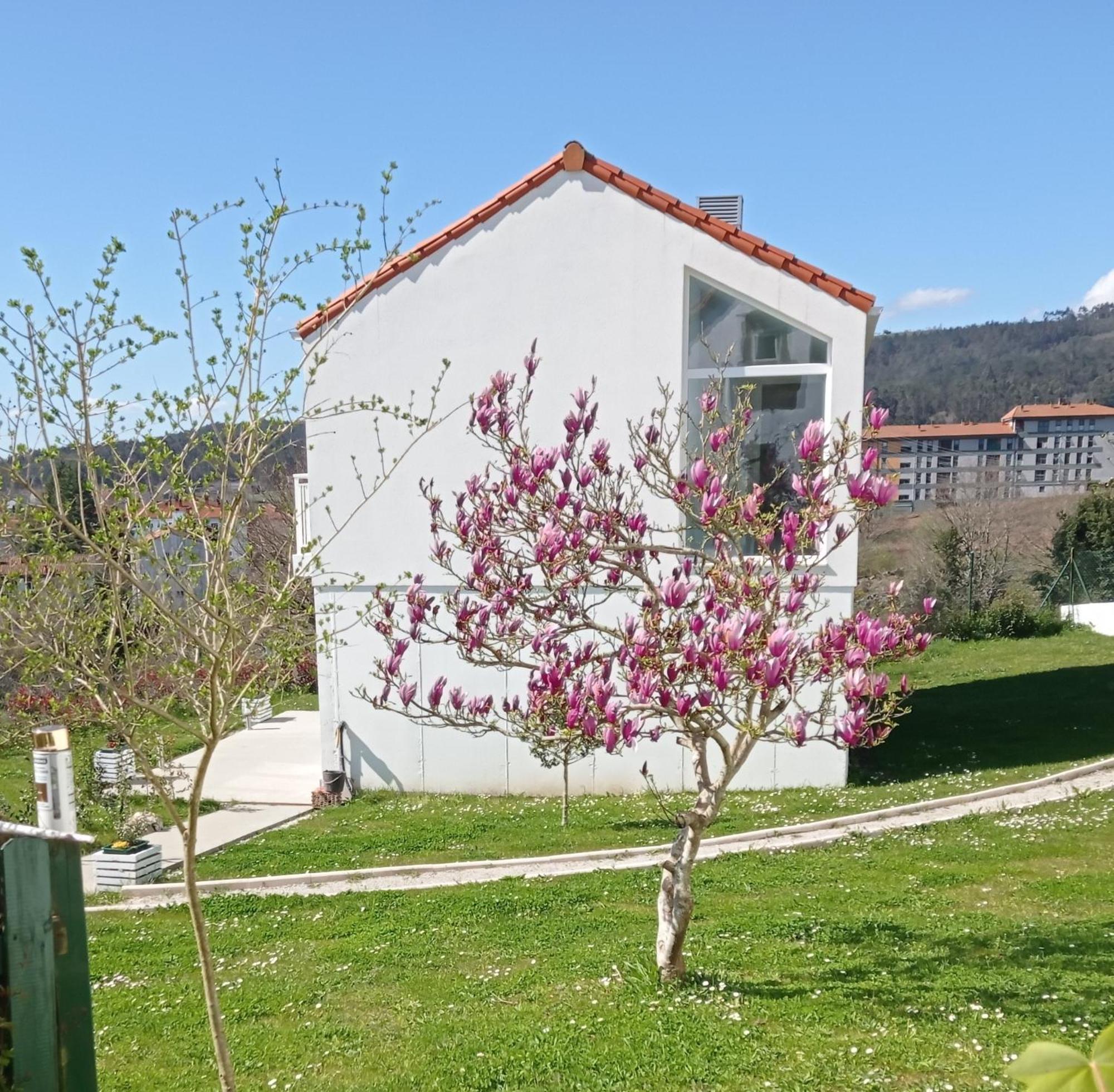 Casas Turisticas Lar Jardin - Parking Privado Сантяго де Компостела Екстериор снимка