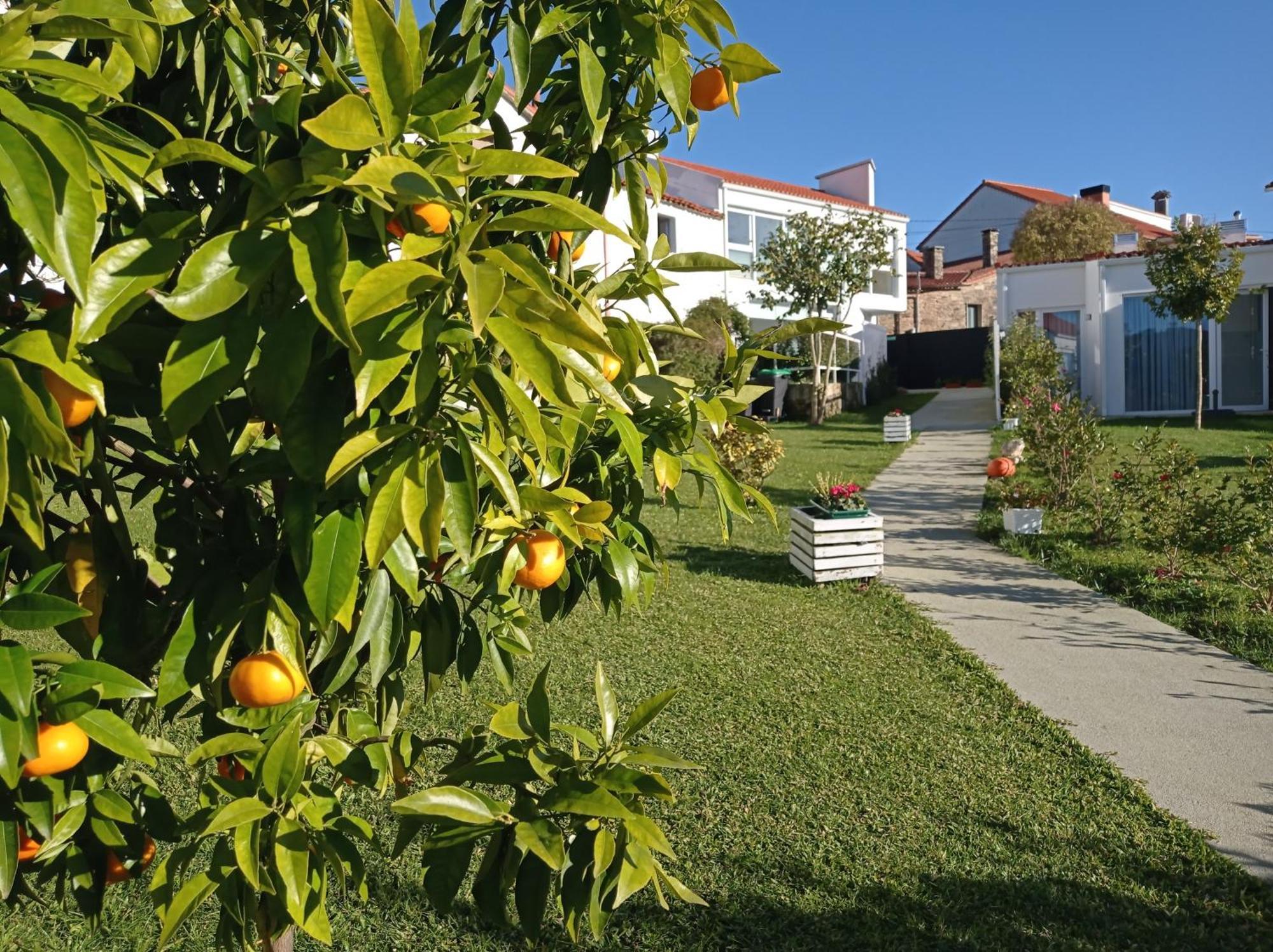 Casas Turisticas Lar Jardin - Parking Privado Сантяго де Компостела Екстериор снимка