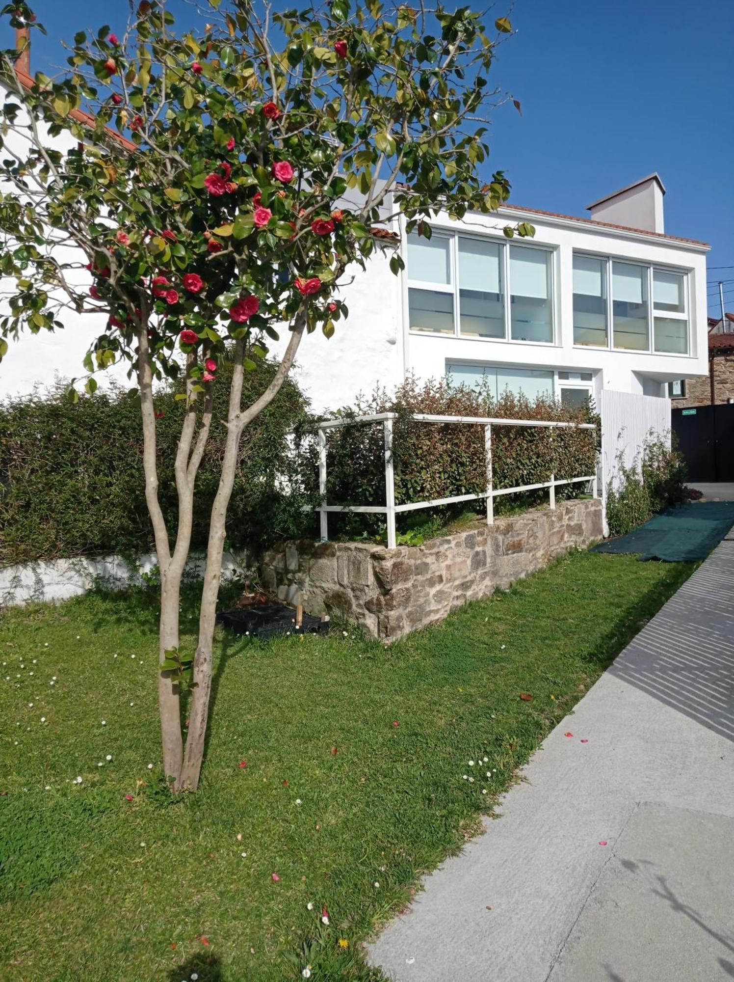 Casas Turisticas Lar Jardin - Parking Privado Сантяго де Компостела Екстериор снимка